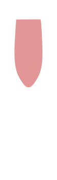 Sparkling Rose